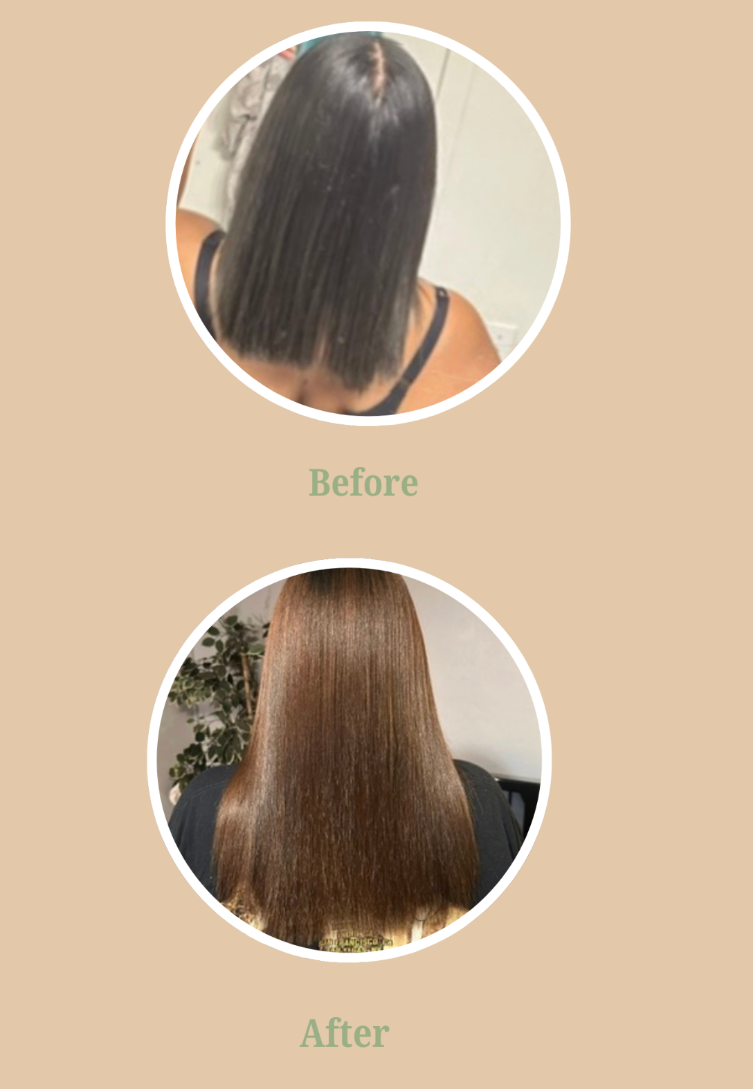 Adsila Hair Growth Oil